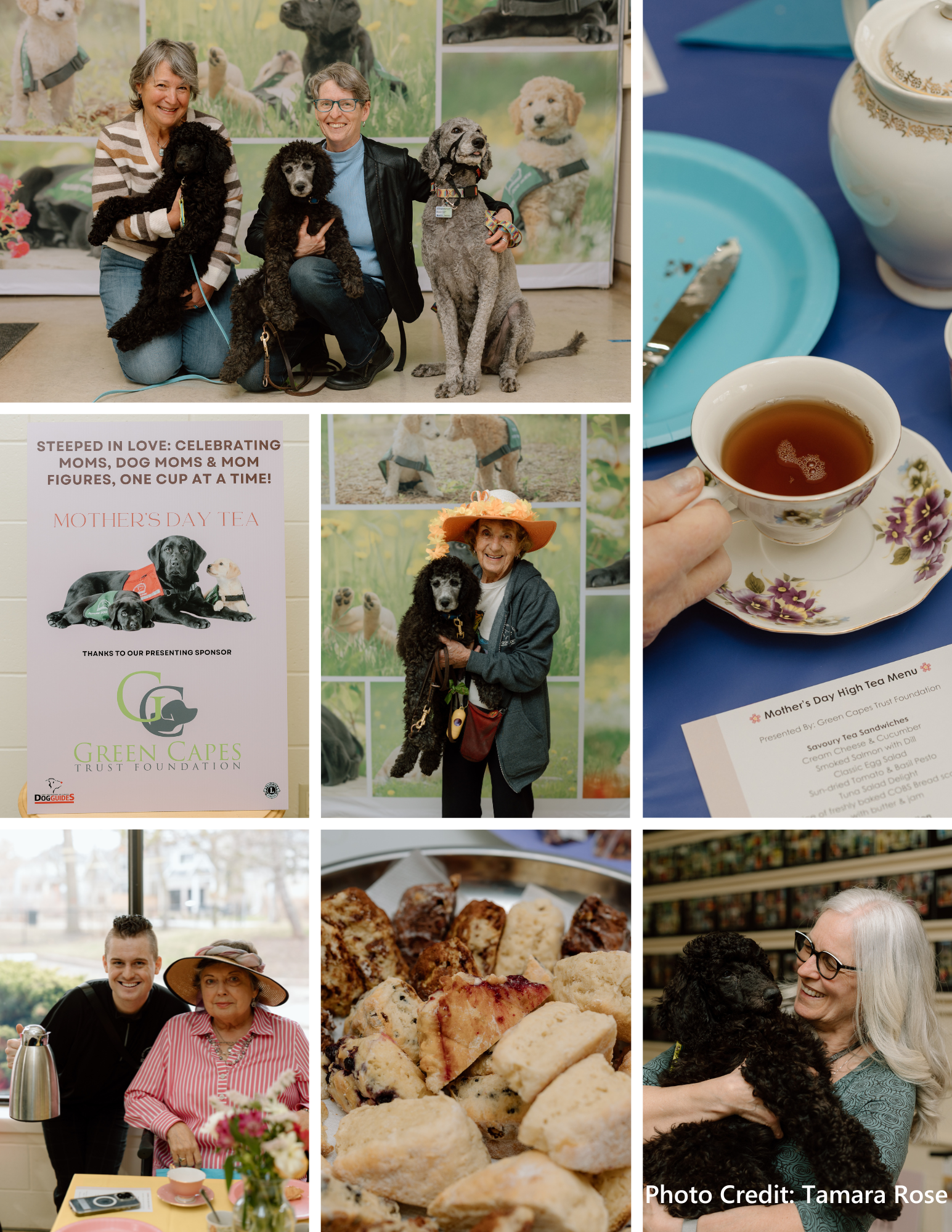 a collage of photos showing various Green Capes members cuddling puppies, having tea and celebrating Mother's Day at the Lions Foundation of Canada Dog Guides High Tea party.