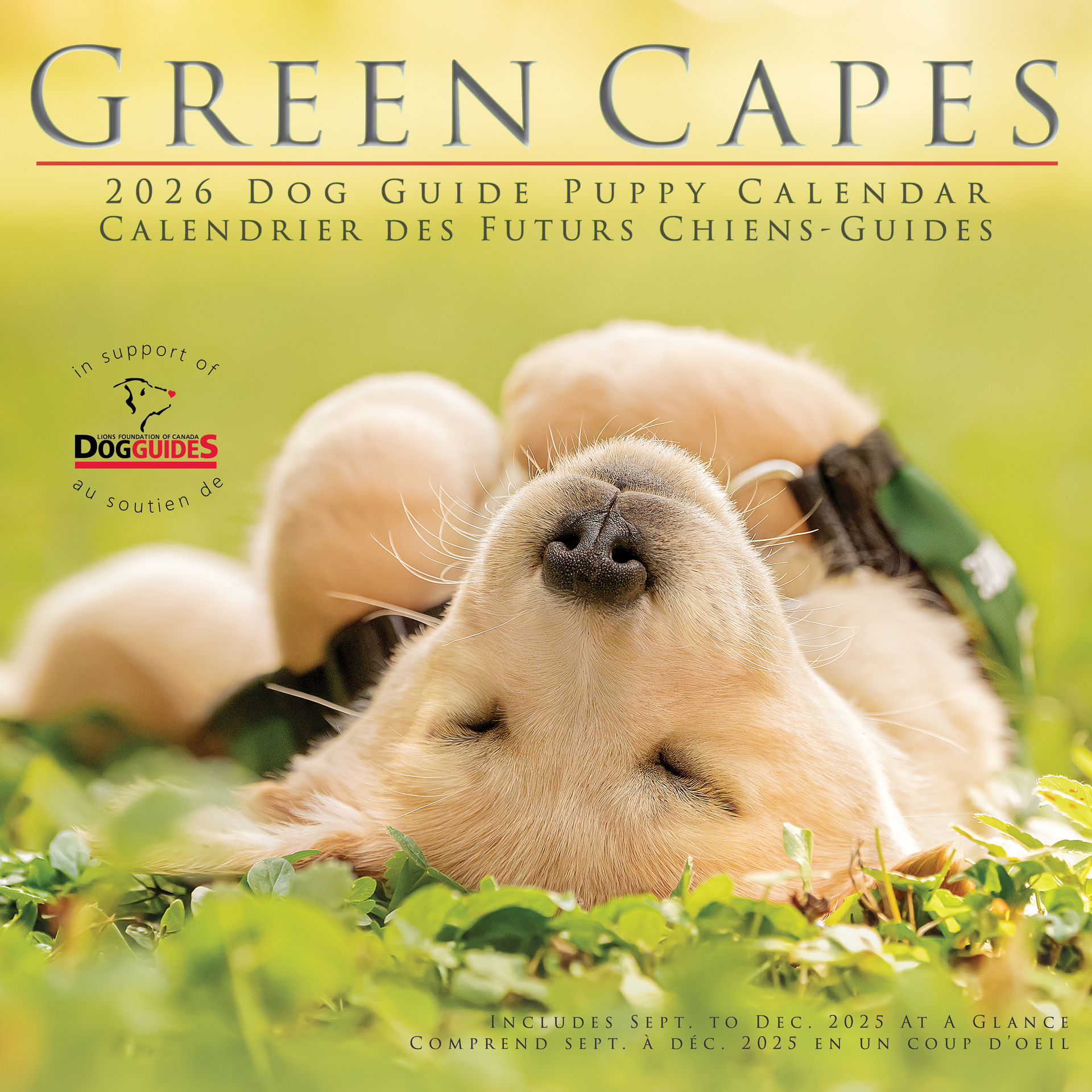 2026 Green Capes Calendar Cover