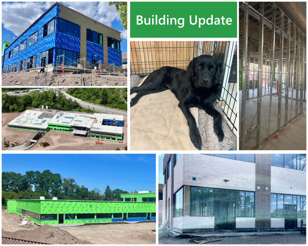 A collage showing, from the top center, the Support walls in place on the main level, an East view showing the nearly complete building, the North west wing of the kennels, a Drone view from June, the external window glass being installed and lovely Turner in his crate in the middle.