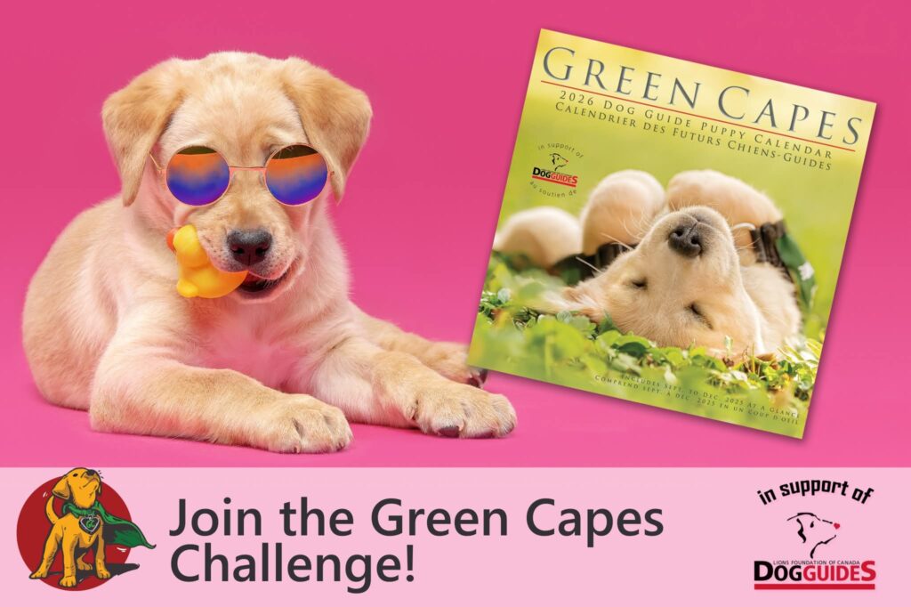 photo description: a silly and playful yellow lab puppy wearing colourful glasses and holding a rubber ducky in her mouth, lays down on a pink background next to the 2026 Green Capes Dog Guide Puppy calendar. Text reads: Join the Green Capes Challenge, in support of Lions Foundation of Canada Dog Guides.