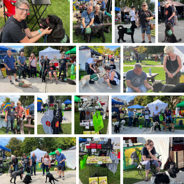 The image is a collage of multiple photos from the Fallin' For Fun event, showing various Green Capes members, volunteers and dogs at the Green Capes booth.
