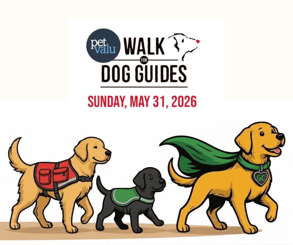 Illustration of three cartoon dogs walking together. The text above reads "Pet Valu Walk for Dog Guides Sunday, May 31, 2026". The dog on the left is golden with a red vest, the middle dog is black with a green vest, and the dog on the right is golden wearing a green cape and a heart-shaped pendant with "GC" on it.