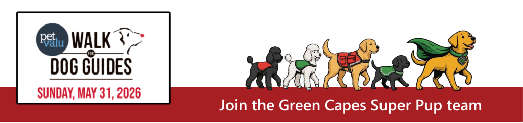 A banner image featuring the Pet Valu Walk for Dog Guides event on Sunday, May 31, 2026. On the left, a graphic displays the event logo with "Pet Valu" in a dark circle and "WALK FOR DOG GUIDES" in large black text with a stylized dog outline and a red heart for a nose. Below the logo, "SUNDAY, MAY 31, 2026" is written in red. To the right, a line of cartoon dogs walks across a white background above a red bar. The dogs are diverse, including a black poodle, a white poodle, a golden retriever, a black labrador, and a yellow lab at the front wearing a green superhero cape. The red bar at the bottom features the text "Join the Green Capes Super Pup team" in white lettering.