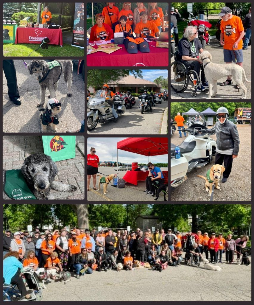 Various images from the 2026 motorcycle Ride for Dog Guides, held on june 20th. Image details below.
